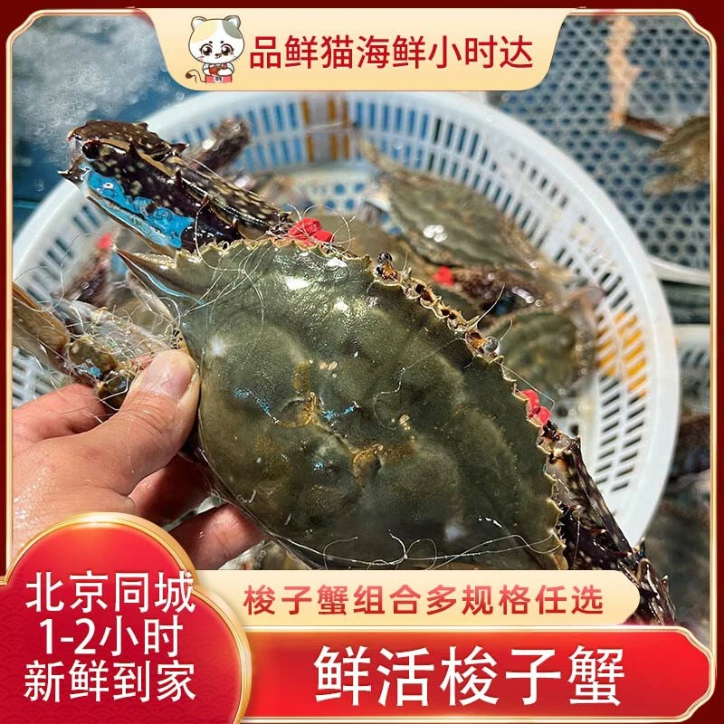 【 鲜活海鲜】梭子蟹公蟹一只装 多规格可选