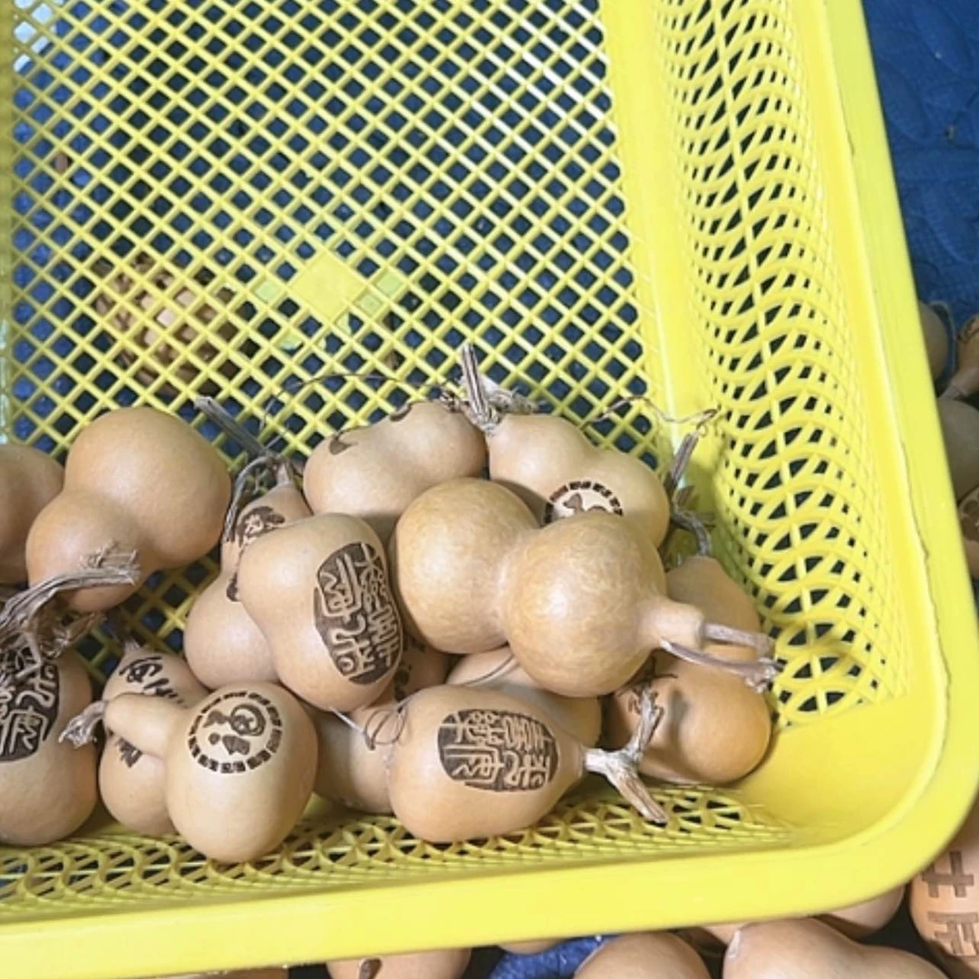 【闪购商品】天然葫芦柳*新09