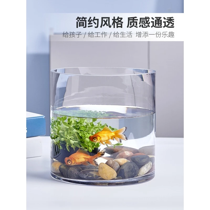 创意客厅金鱼缸玻璃小型生态圆形圆柱大号乌龟缸透明装饰桌面鱼缸