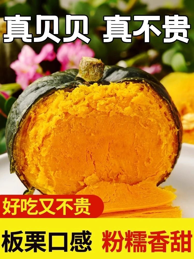粉糯香甜，宝宝辅食减脂 正宗贝贝南瓜沙漠贝贝小南瓜，