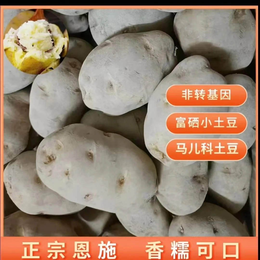 恩施土特产恩施马尔科食用土豆5斤