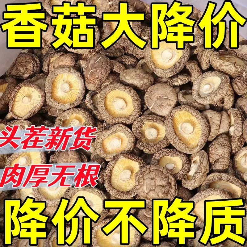 【15·9抢半斤香菇干货】无根肉厚干香菇新货营养新鲜菌菇汤毛重