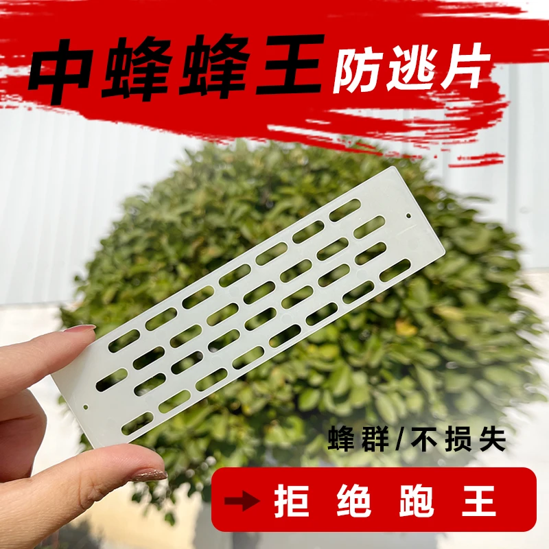 牧蜂者中蜂蜂王防逃片隔王片巢门防逃片蜜蜂隔王养蜂工具抗老化