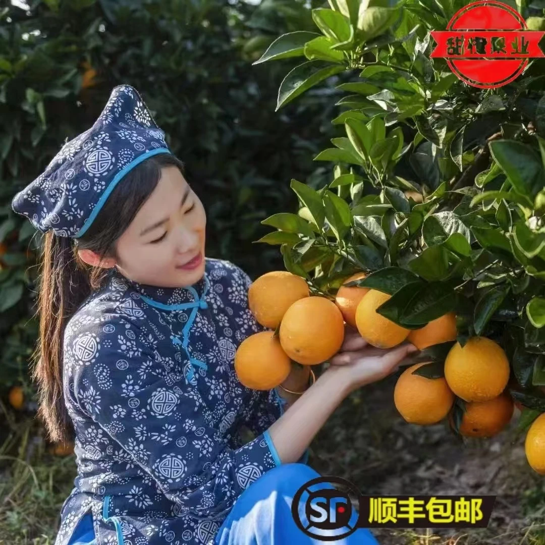 含箱20斤赣南脐橙发源地安西脐橙现摘现发产地果农直销