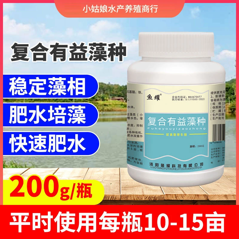 鱼耀复合有益藻种小球藻抑制蓝藻甲藻降氨氮亚盐水产养殖常备