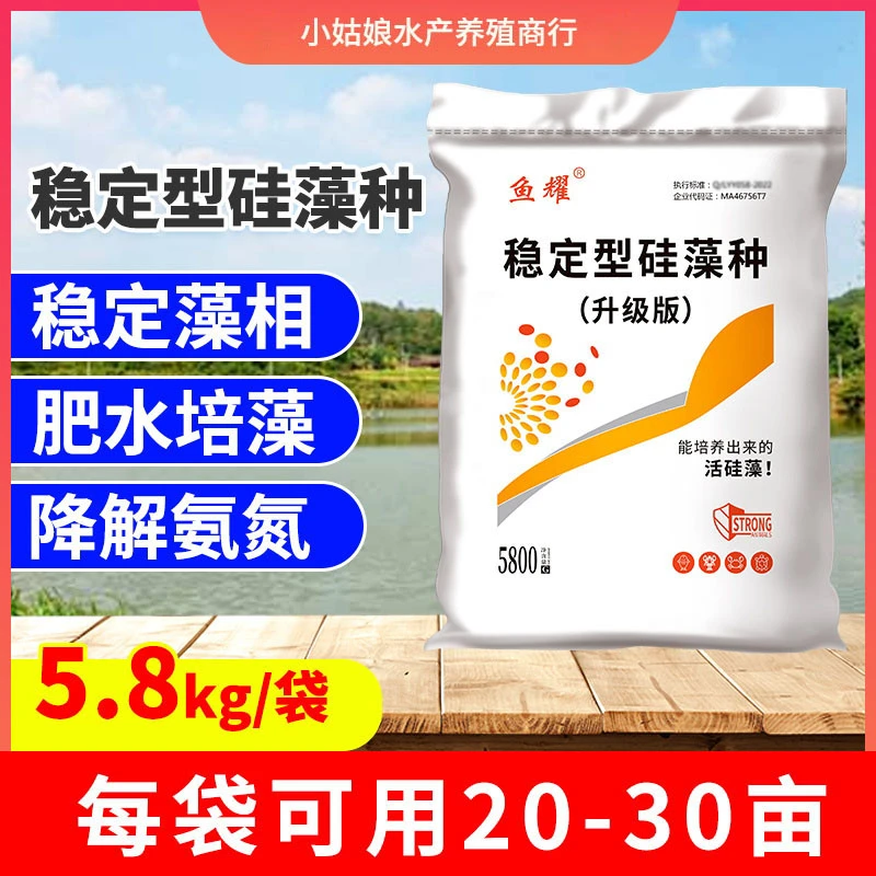 鱼耀稳定型硅藻藻种肥水培藻稀释绿藻水产养殖广温可用水产养殖