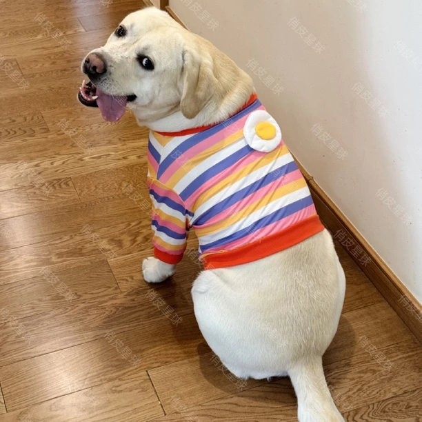 宠物狗狗衣服拼色条纹衫可爱荷包蛋带袖子护肘拉布拉多金毛大狗