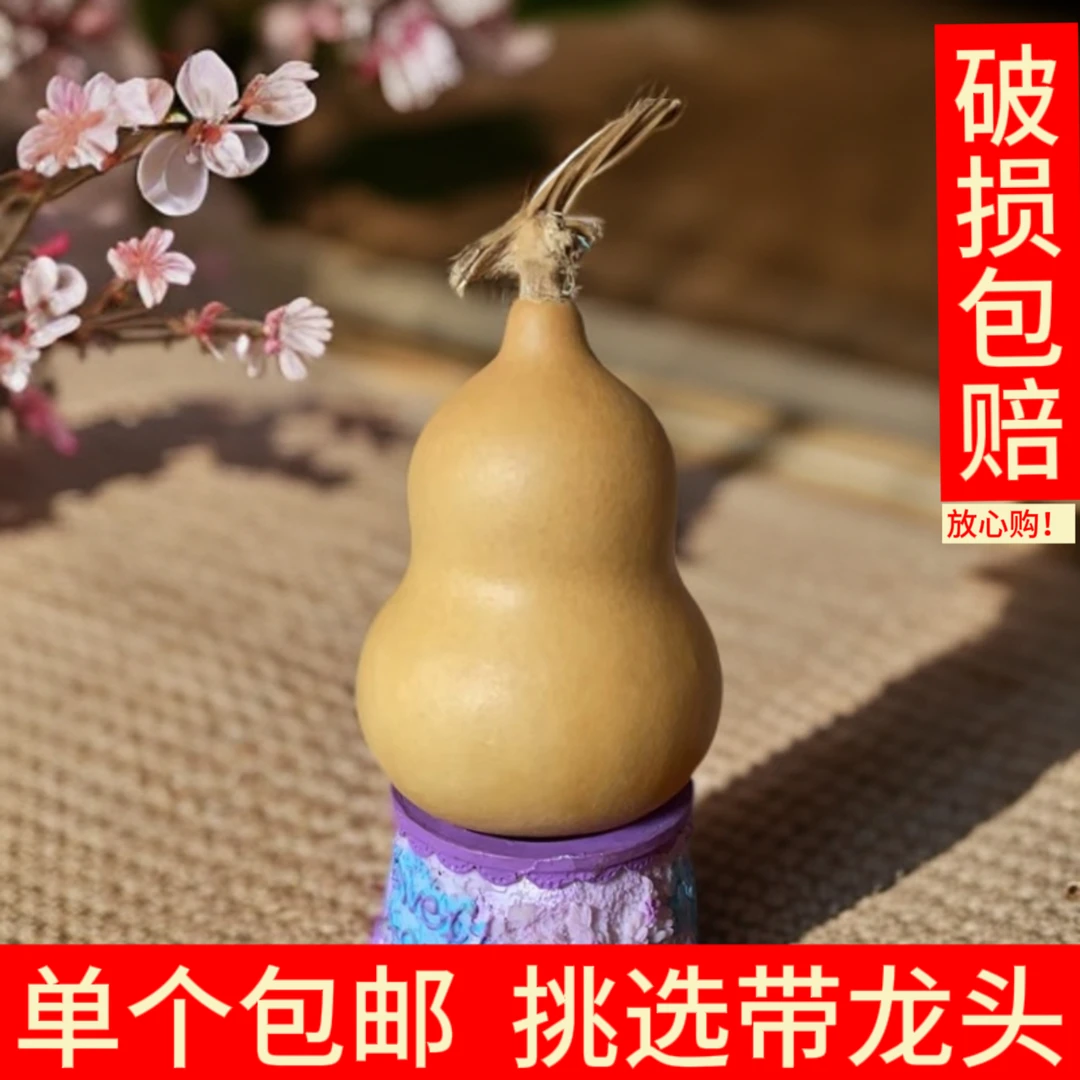 文玩手捻葫芦纯天然手把件挂件摆件带龙头八宝天津嘴蚂蚁苹果葫芦
