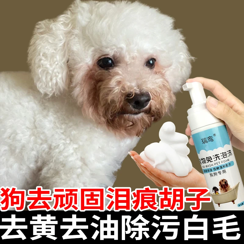 比熊脸部清洁去黄嘴毛深泪痕狗狗干洗泡沫增白去污免水洗宠物清洁