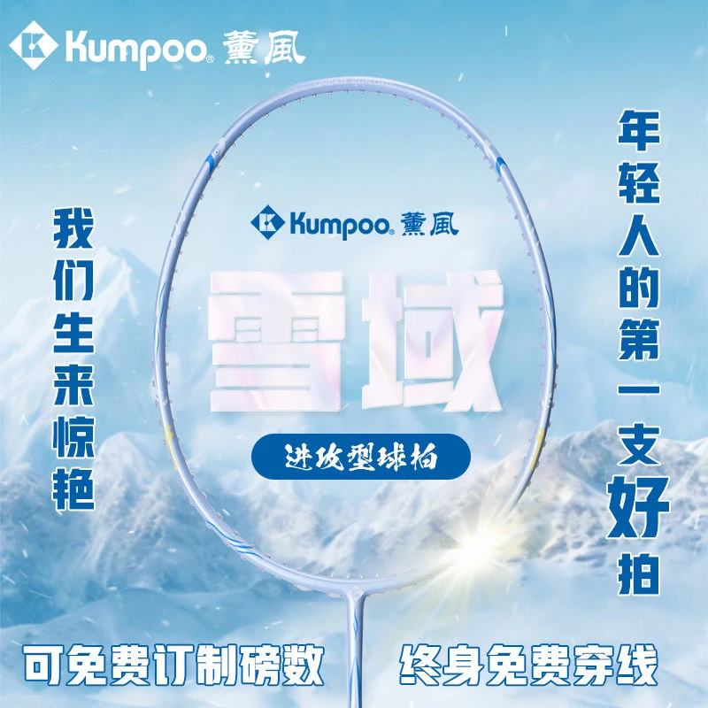 薰风雪域羽毛球拍进攻初学升级款单拍学生开学必备  熏风