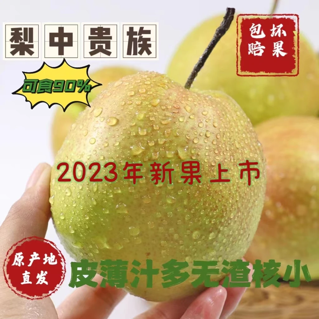 陕西正宗翡翠梨应季新鲜脆甜多汁薄皮超甜现摘大果酥梨子顺丰包邮