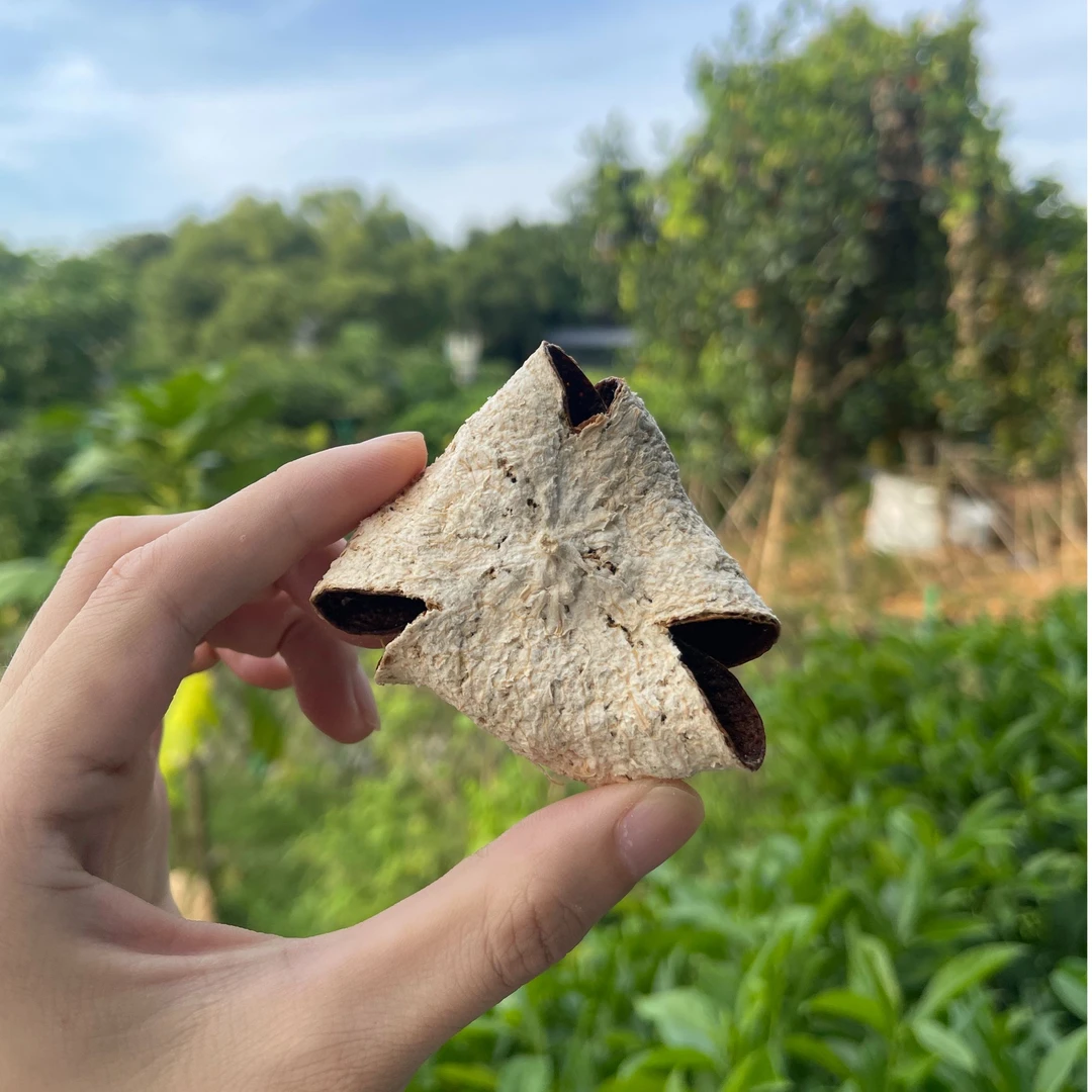 【2020年】东甲圈枝大红折花皮正宗新会干仓陈皮醇香糯香蜜糖甜