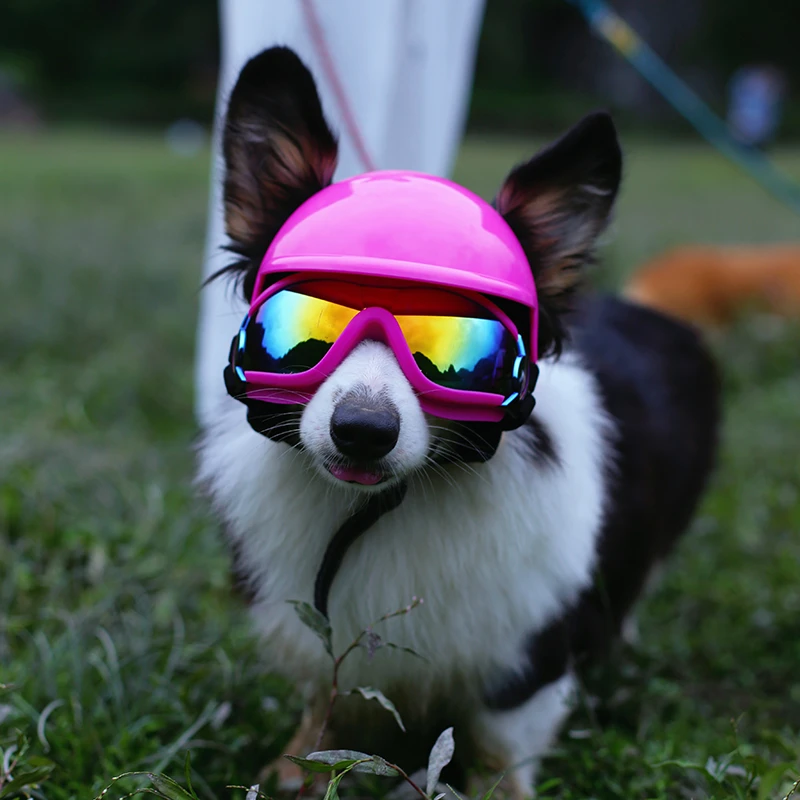 护目镜柯基狗狗甜酷墨镜防水防风防晒太阳镜机车安全头盔粉色头饰