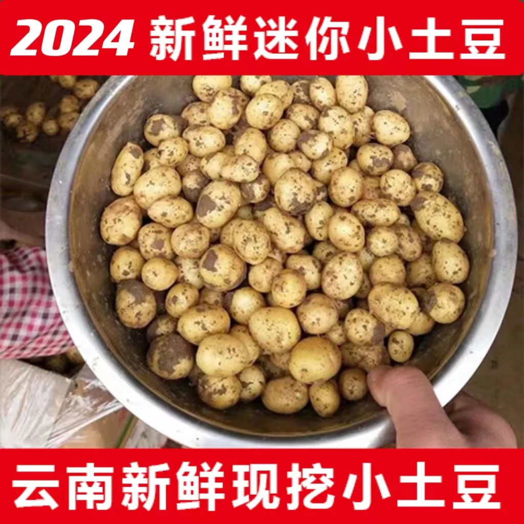 无品牌2024年云南新鲜迷你小土豆农家自种迷你小土豆5/9斤包邮