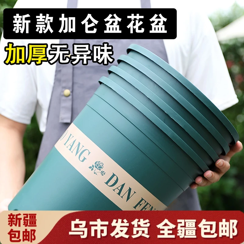 【新疆包邮】塑料花盆多肉花盆月季花育苗盆家用阳台种花种菜绿萝