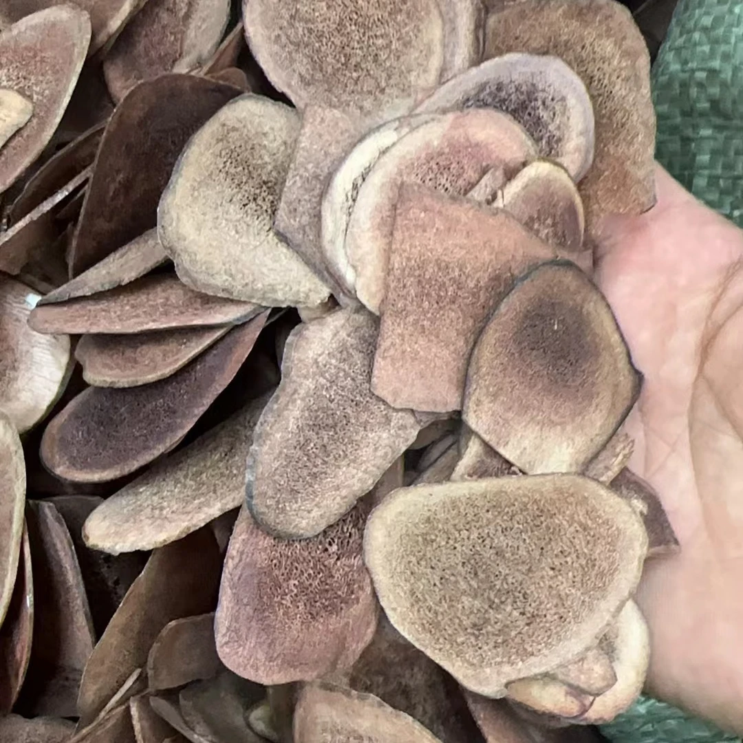 【臭带货】云南边境神秘来历鹿茸-----非紫苏