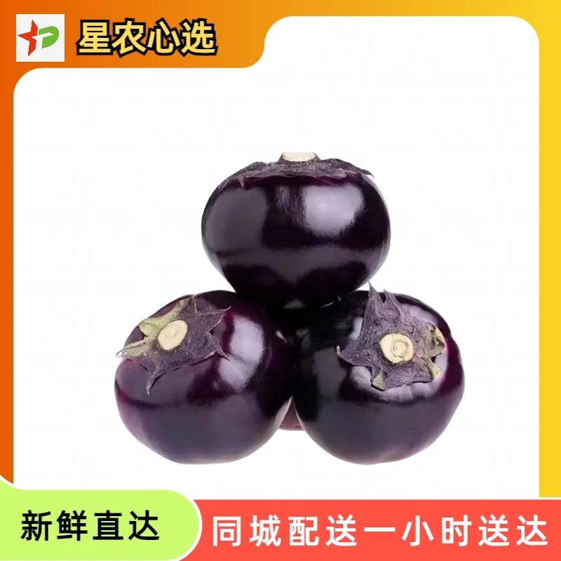 圆茄子约1300g茄子同城配