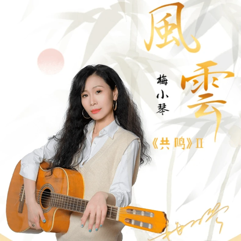 乐道唱片 共鸣Ⅱ风云 梅小琴 正版CD专辑