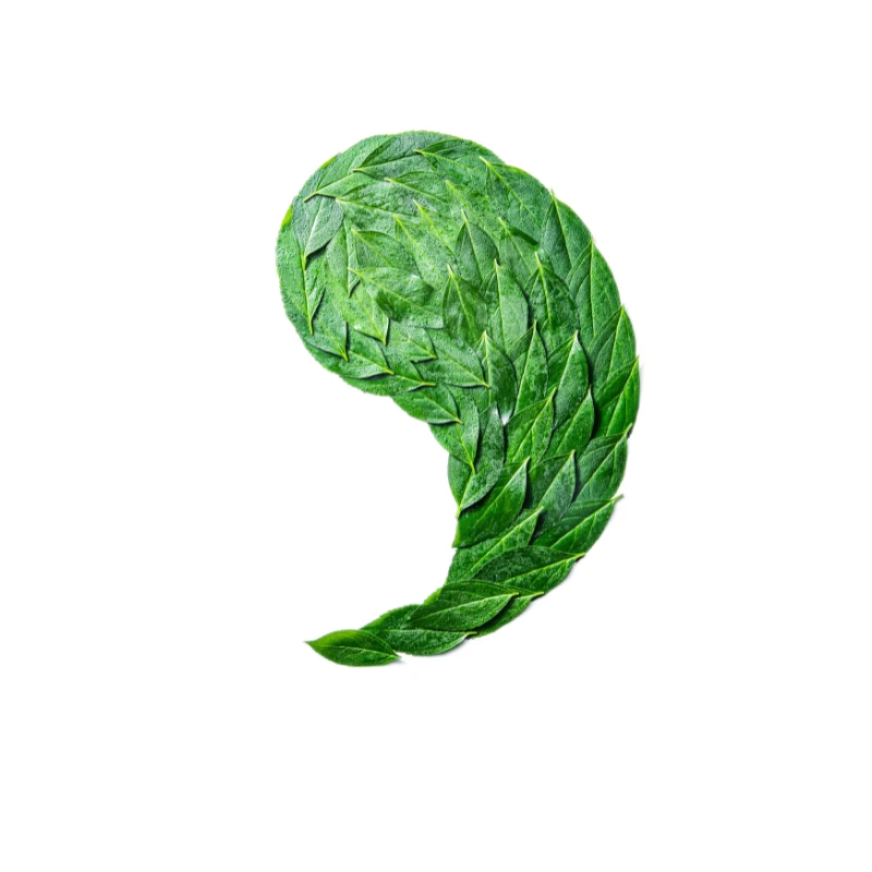 【新品】福鼎白茶2016原生华一100g饼