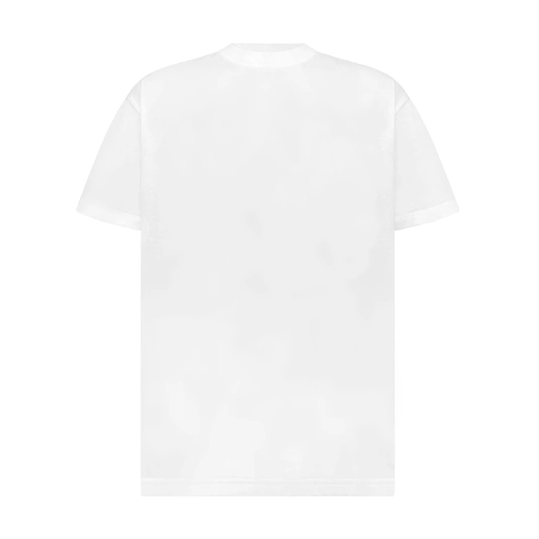 白鹤大人 重磅柔软舒适短袖T恤圆领纯棉宽松休闲百搭打底基础半袖