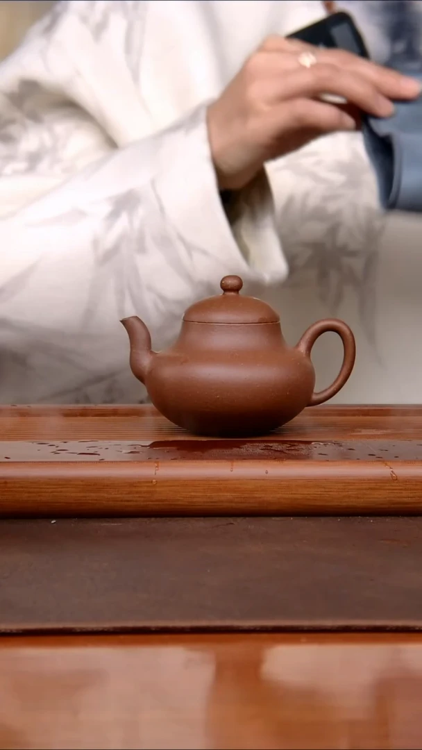 【闪购商品】紫砂茶壶惊喜价