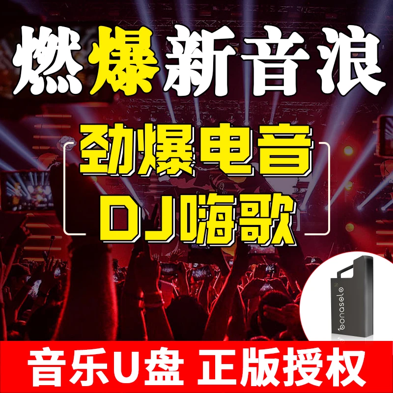 正版汽车载音乐U盘网络流行新歌中文DJ舞曲热门音乐嗨歌经典老歌