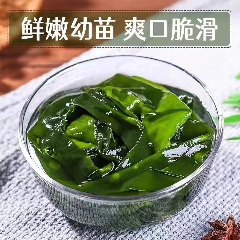 大连新鲜打捞盐渍裙带菜带箱5斤