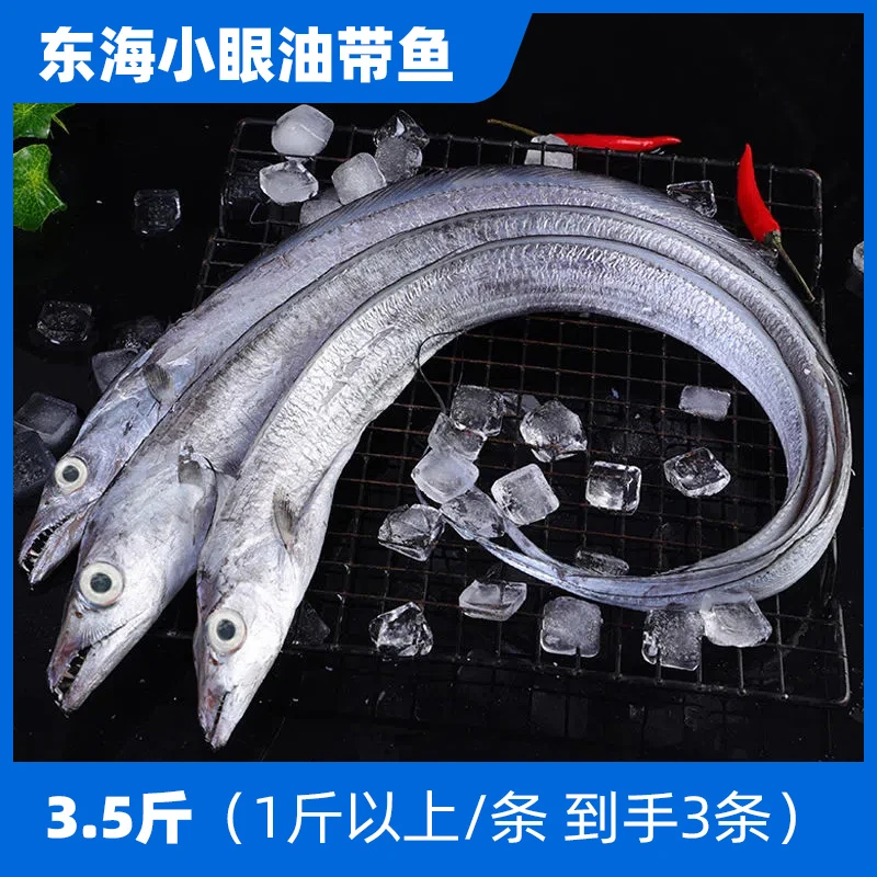 3.5斤东海小眼睛野生油带鱼1斤以上/条液氮锁鲜鹰钩嘴象山刀鱼