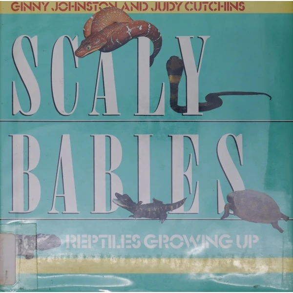 原版儿童绘本3-6岁平装Scaly Babies: Rept