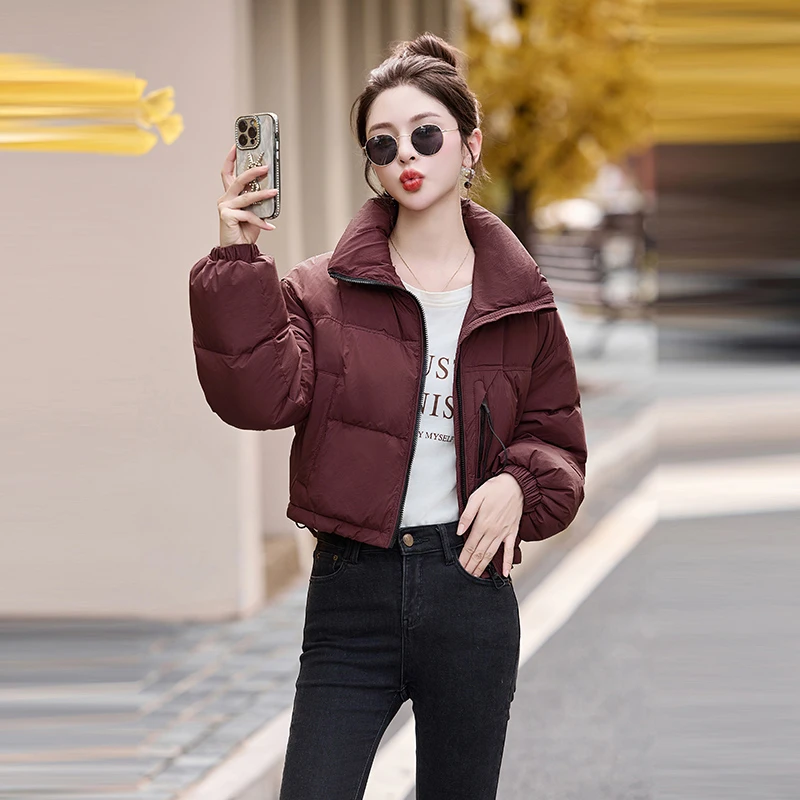 短款立领羽绒服女2025冬季新款小个子加厚宽松时尚百搭设计感外套