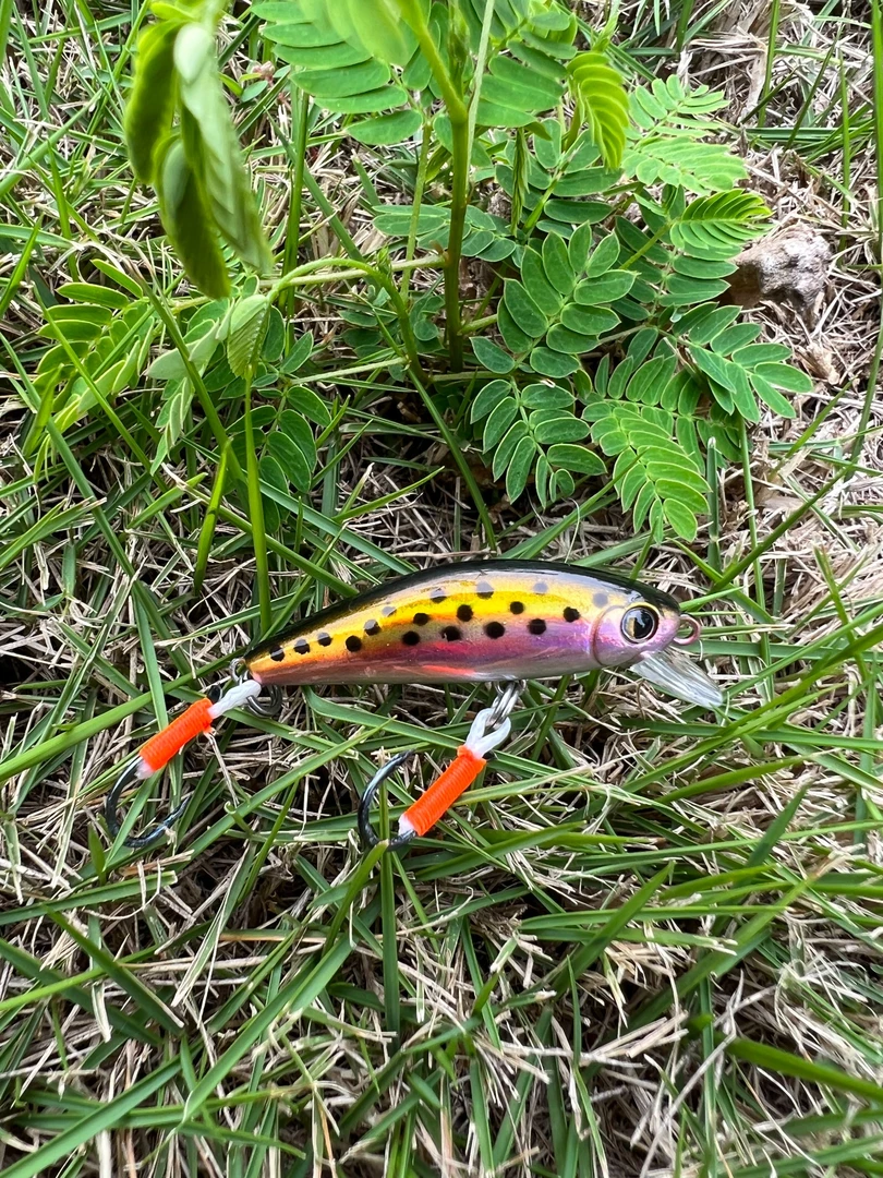 微物米诺小米诺路亚饵长舌板斑鳜马口青稍翘嘴军鱼红尾