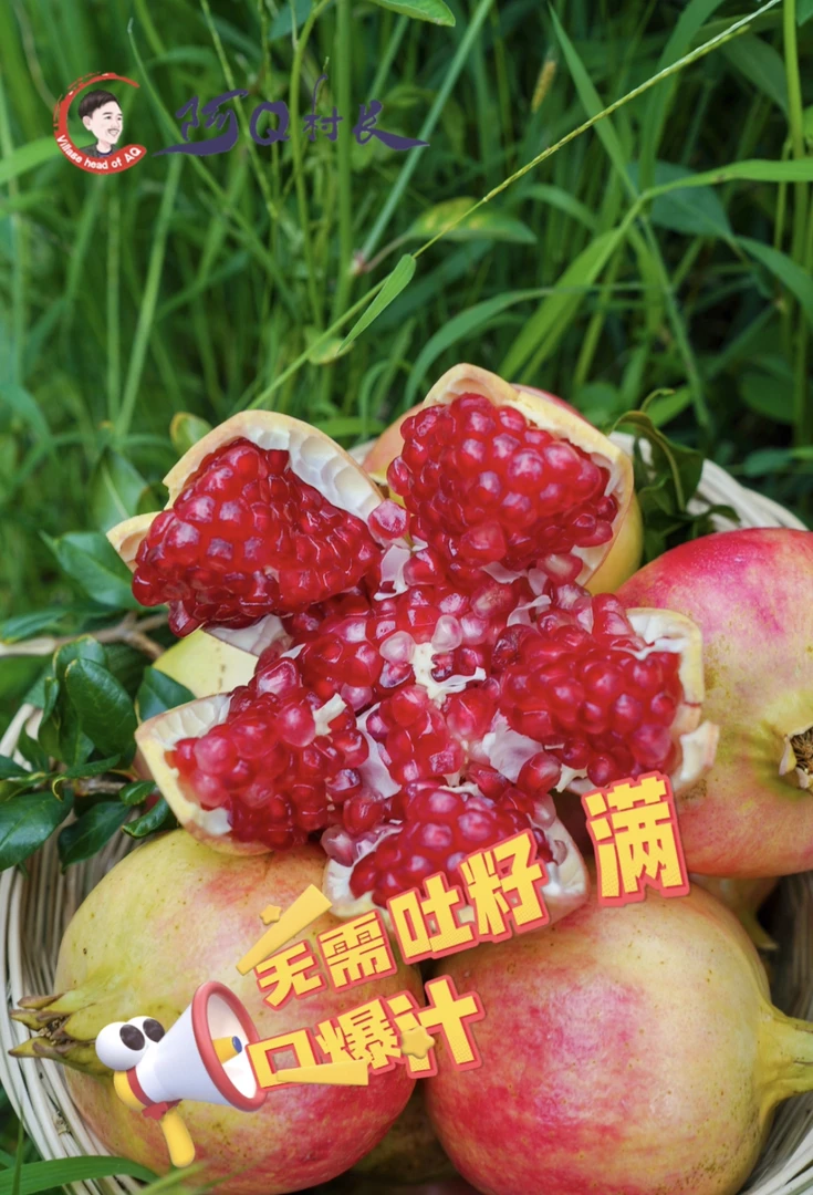 会理突尼斯软籽石榴4.5-5斤装