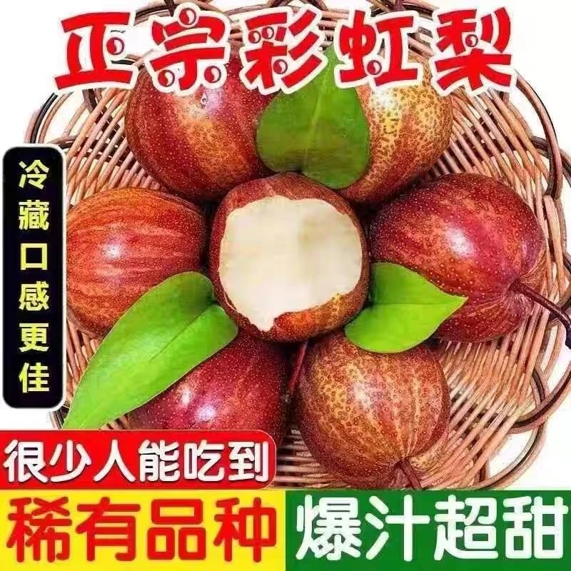 陕西新鲜彩虹梨酥梨水果早酥梨脆甜红皮薄皮梨子孕妇水果整箱包邮