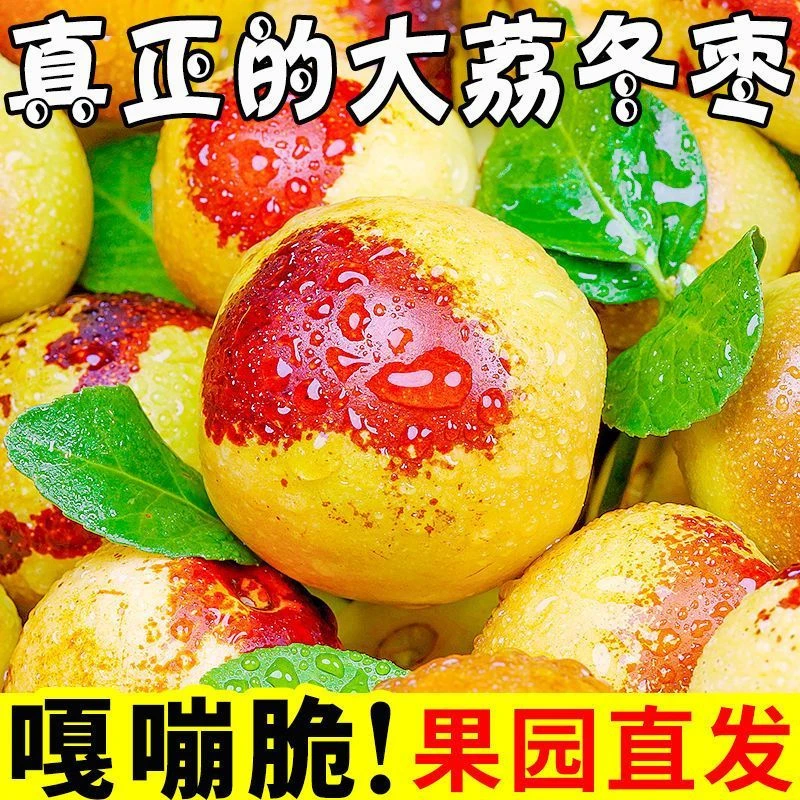 陕西大荔水果脆甜冬枣正宗冬枣应季青枣孕妇包邮新枣批发