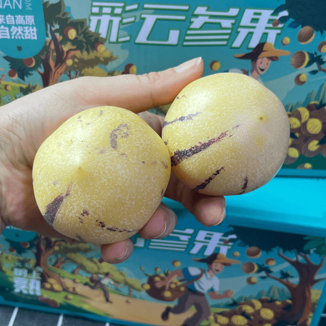 彩云人参果礼盒装B21/毛3.2净果 净果约2.6斤