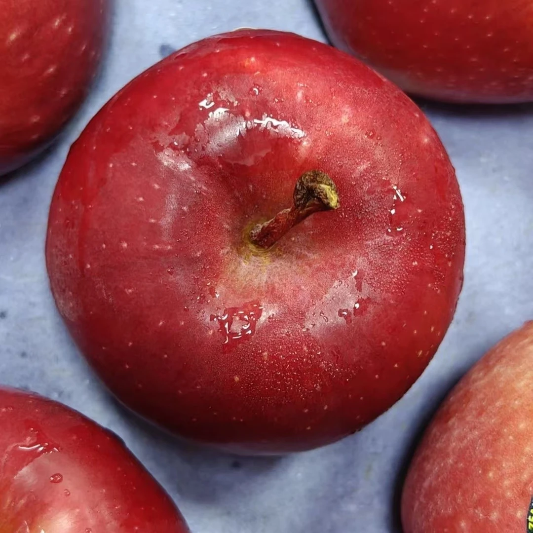 新西兰火箭筒小苹果礼盒5斤装，小巧可爱，脆甜无比，果肉细腻爽口，浓郁果香，新鲜脆嫩，汁水迸发，每一口都是享受