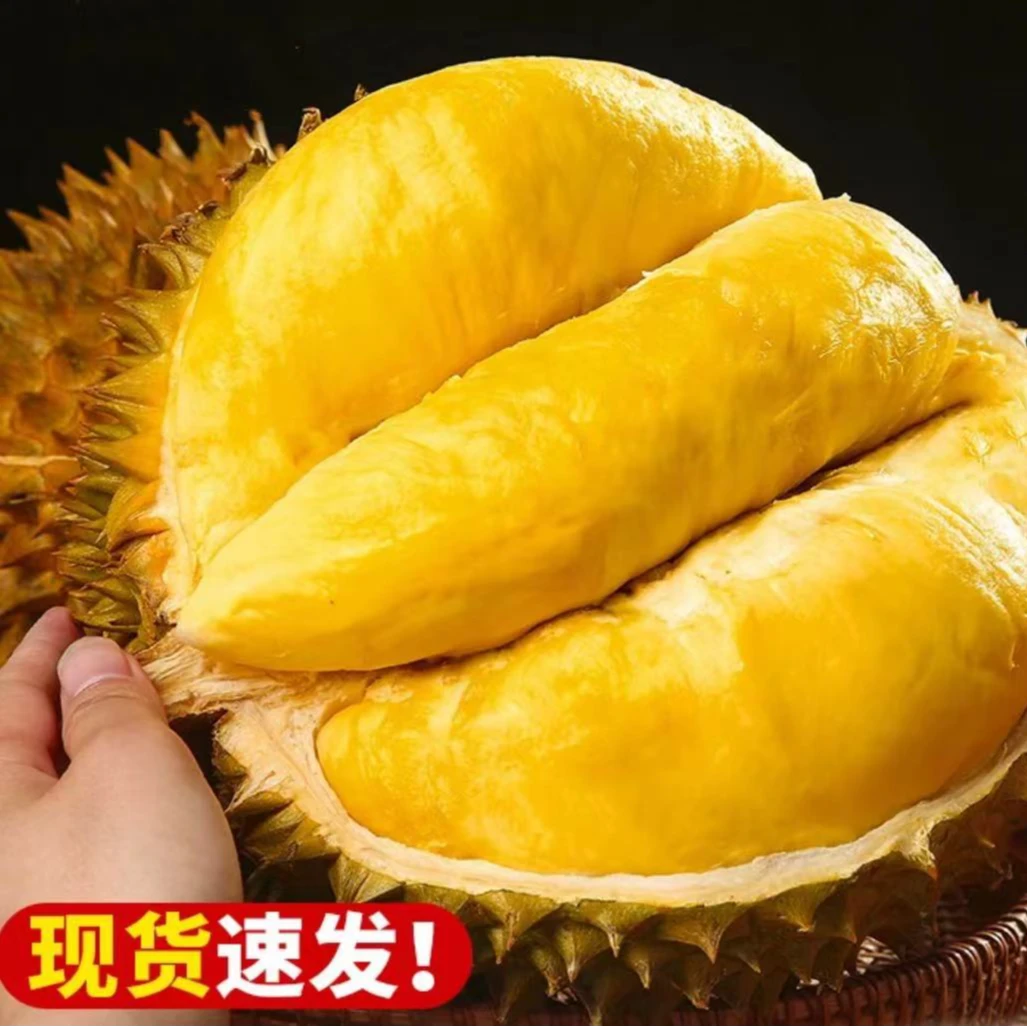 泰国进口5A金枕树熟榴莲果肉400克超值价格液氮冷冻只卖肉