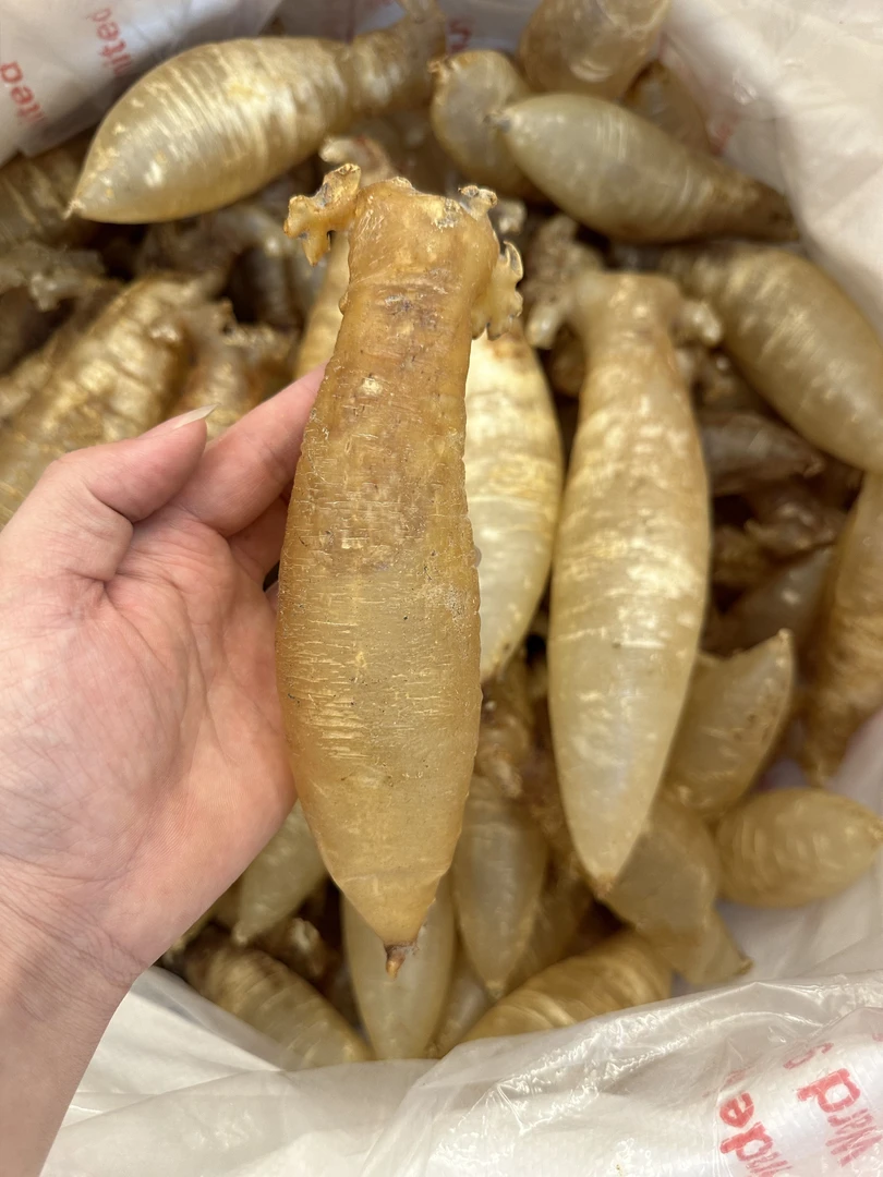 本港野生小耳赤嘴筒母 渔民货 月子胶 日常滋补胶 250克-500克