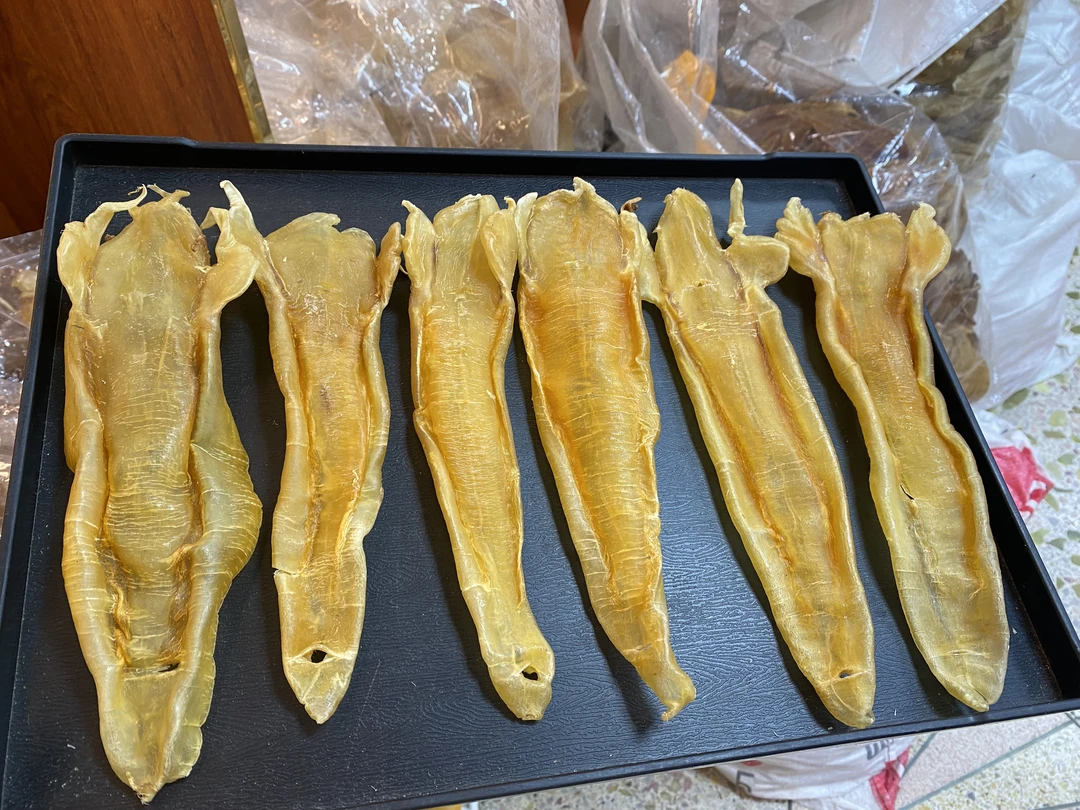 6头多 北海老巴公胶 月子胶 日常滋补胶 250克-500克