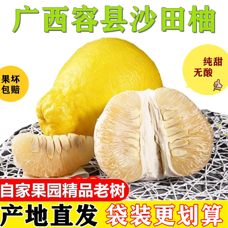 正宗容县自良沙田柚广西全甜柚子蜜香清甜当季新鲜水果产地直发