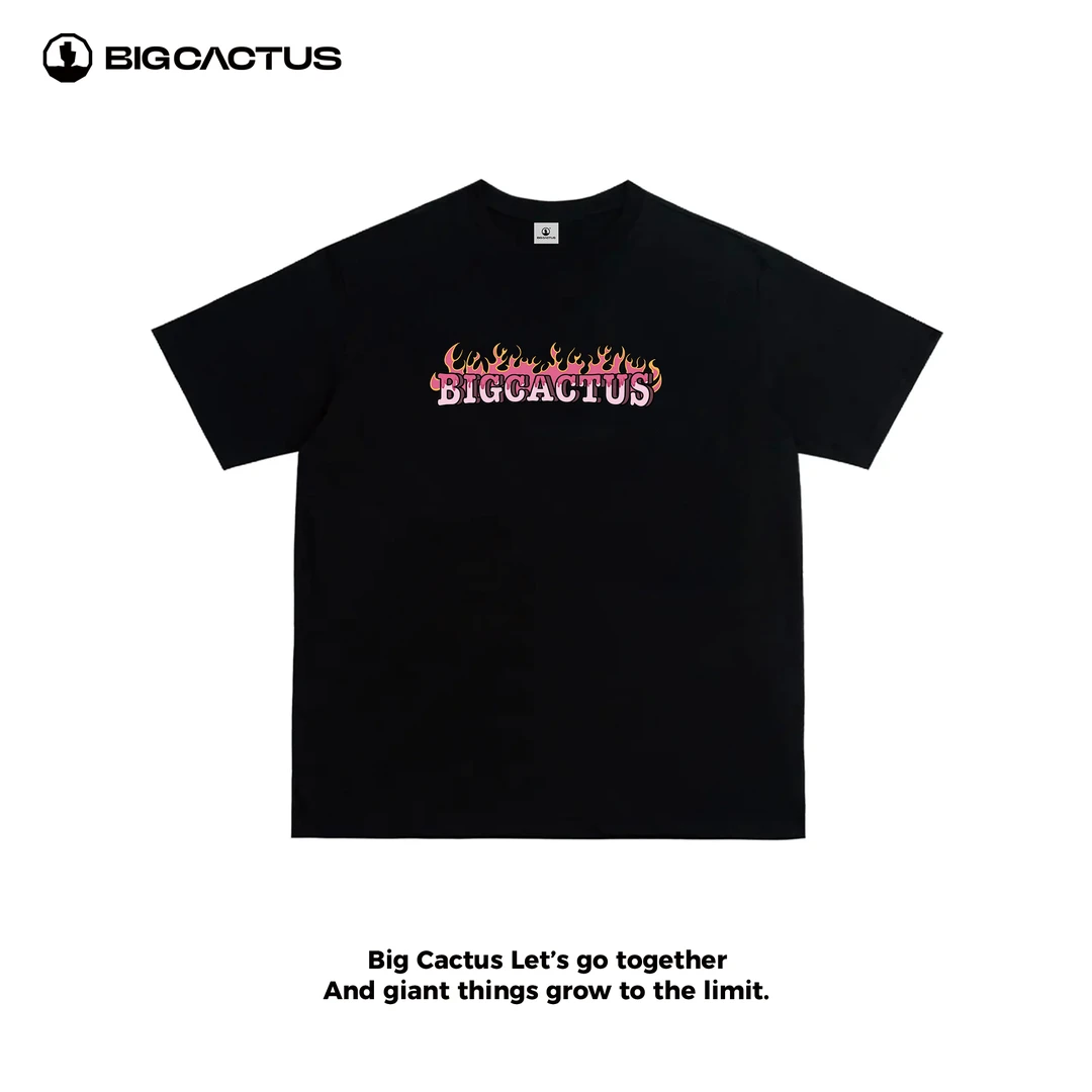 BC（火焰）春夏重磅纯棉圆领宽松T恤潮牌百搭短袖男生街头