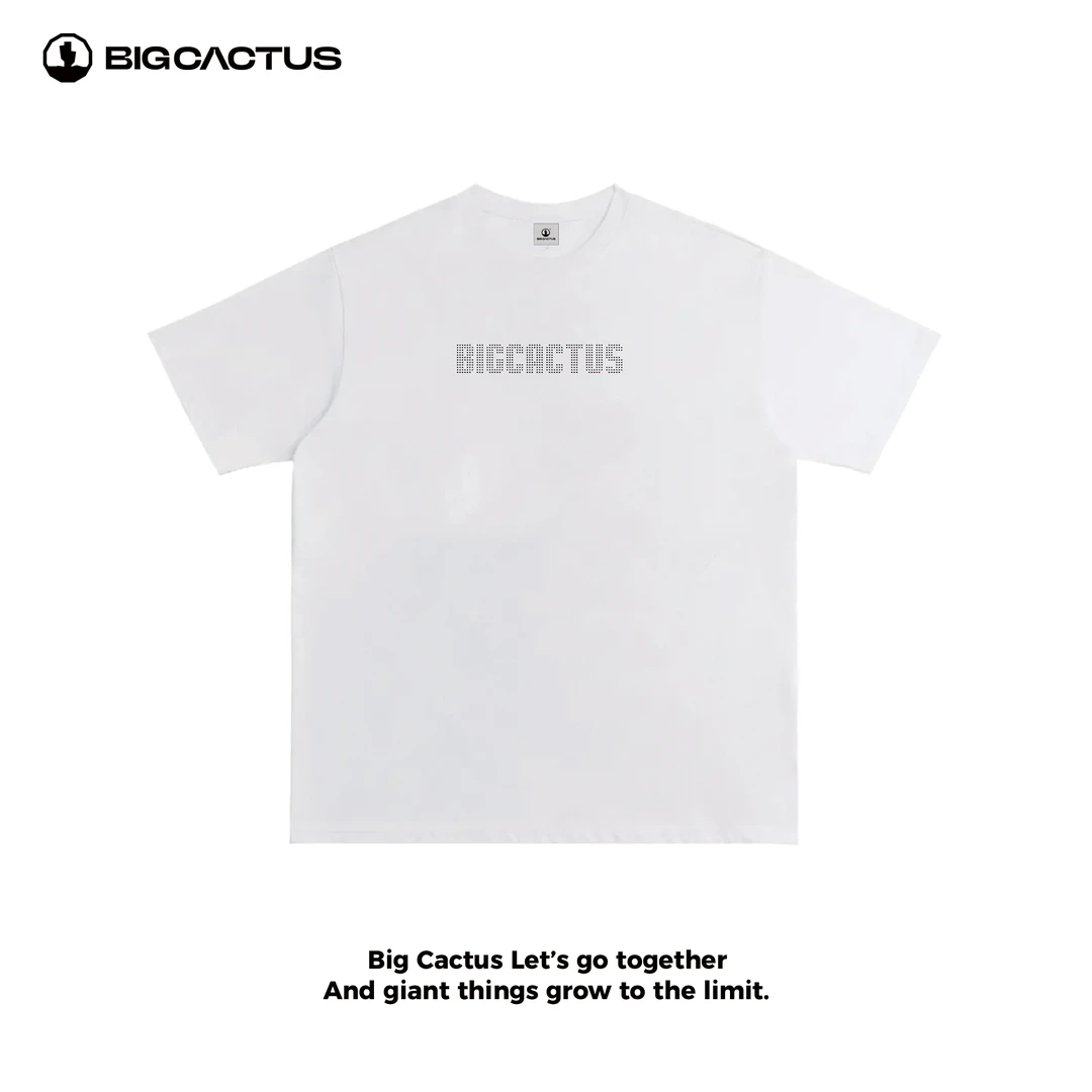 BC（logo1）重磅纯棉小圆领宽松T恤潮牌高端高级感短袖情侣款夏季