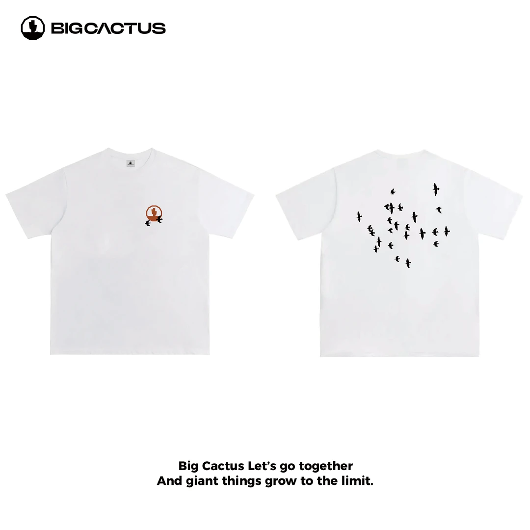 BC（鸟3）重磅纯棉休闲小圆领宽松T恤潮牌新款高级感短袖情侣夏季