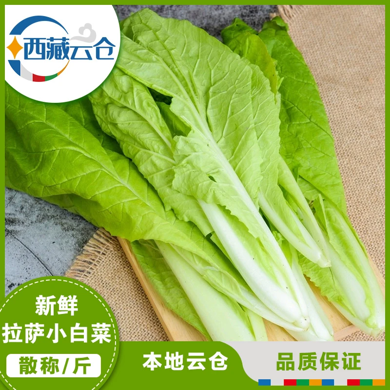 【小白菜2斤】水白菜新鲜黄白嫩白小青菜小白菜青菜奶油小白菜蔬菜