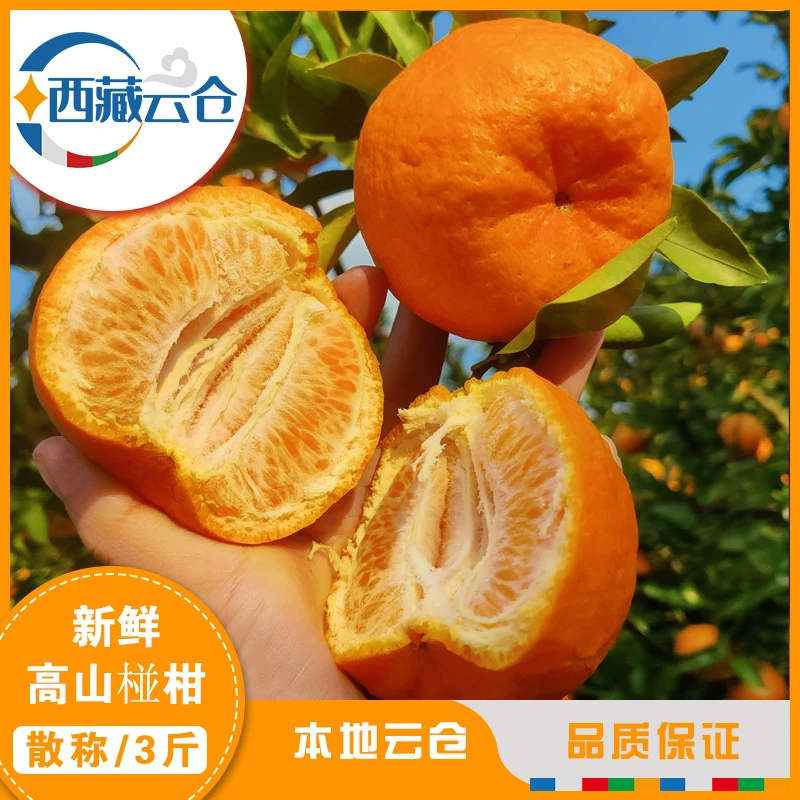 【3斤】云南高山特产现摘碰柑 丑八怪桔子芦柑橘子新鲜椪柑水果