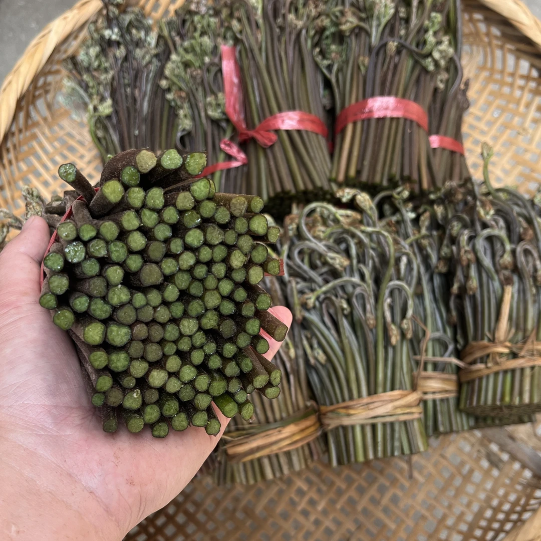 全州野生4斤蕨菜包邮全州本地蕨菜一斤一包真空包装