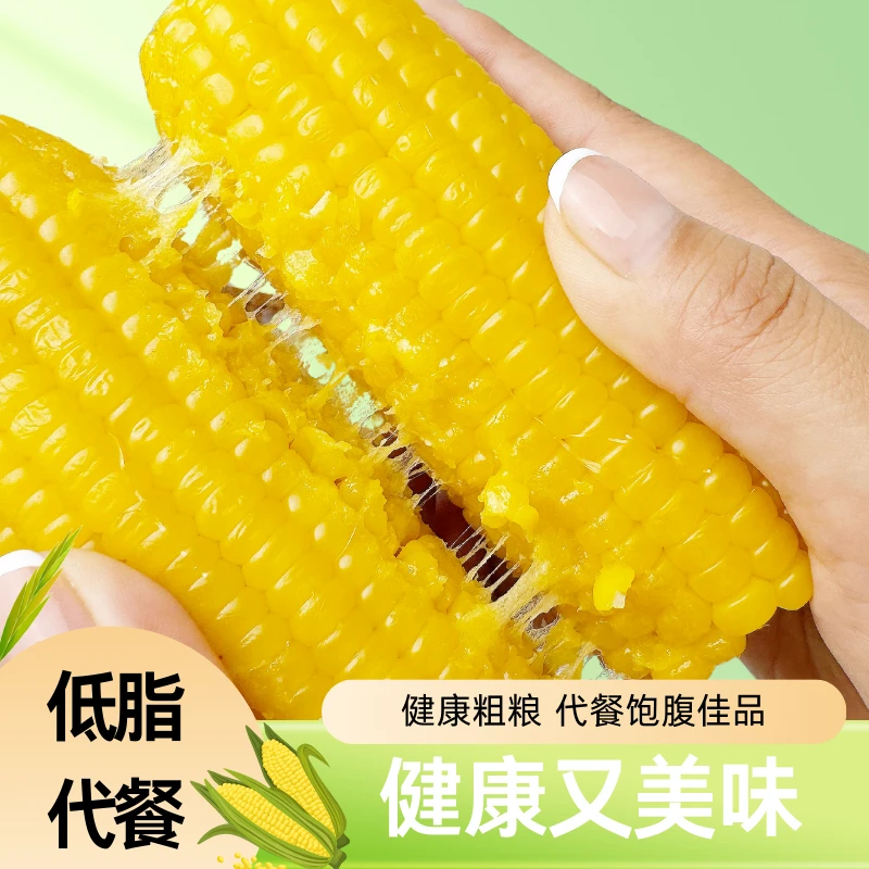 【试吃2支】2024年东北头茬糯玉米粘苞米粗粮代餐真空独立包装 软糯