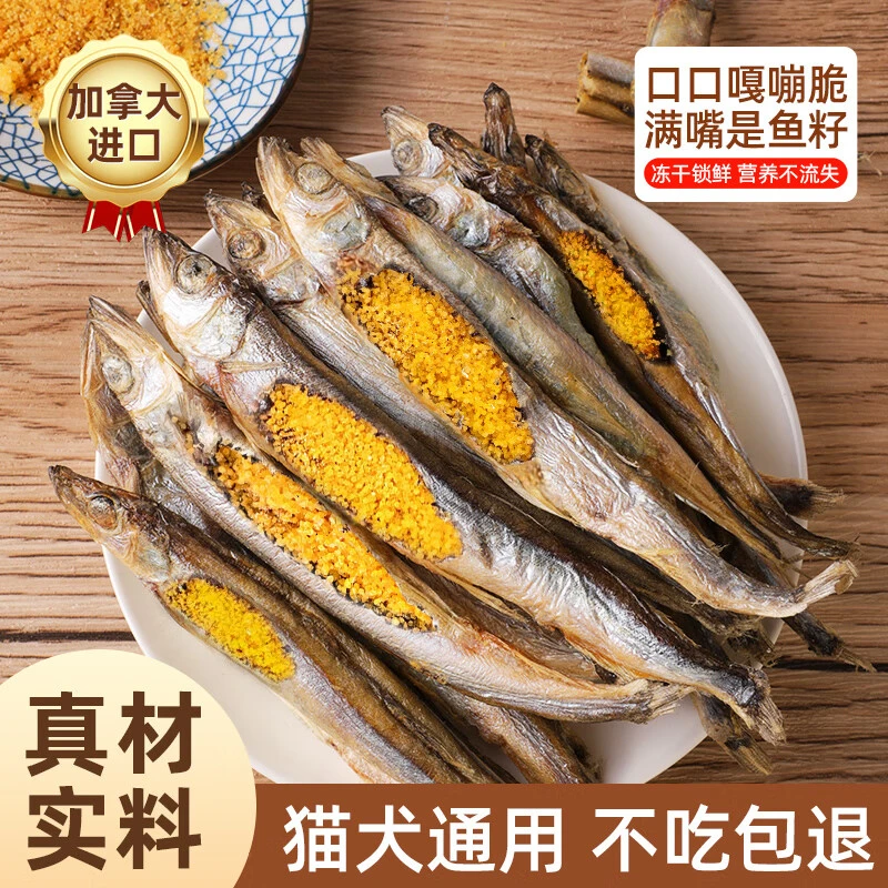 冻干多春鱼酥脆营养丰富满籽亮毛猫咪零食宠物零食零添加猫零食桶