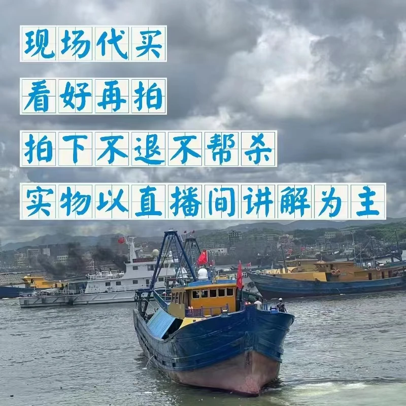 10斤 码头现场代买不杀 看好再拍 拍下不退款 鲜鱼套餐5-10斤