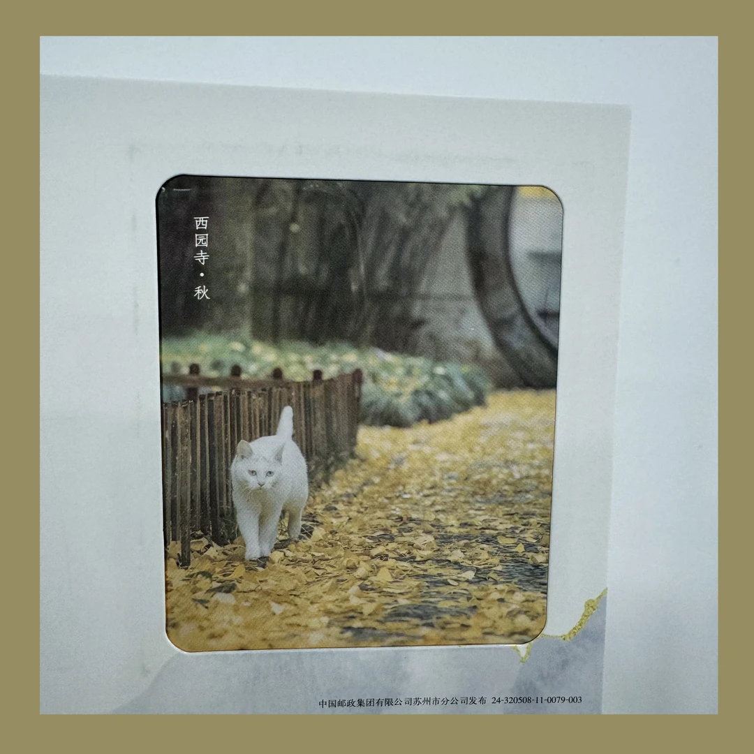 【明信片】上新！苏州景区特色胶片明信片（含邮资，9款）
